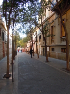 Tree-lined street in the extension